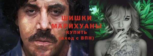 ПСИЛОЦИБИНОВЫЕ ГРИБЫ Пестово