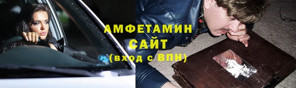гидра Пересвет