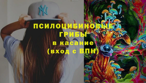 ПСИЛОЦИБИНОВЫЕ ГРИБЫ Пестово