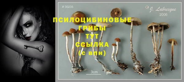 ПСИЛОЦИБИНОВЫЕ ГРИБЫ Пестово