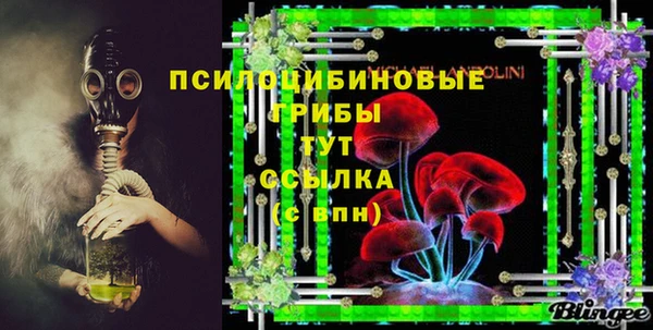 гидра Пересвет