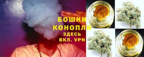 гидра Пересвет