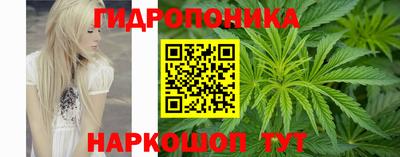сатива Камышлов