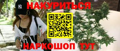 сатива Камышлов