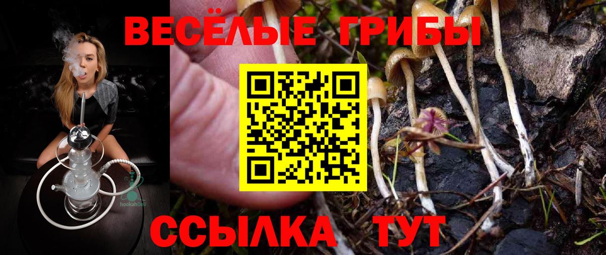 Псилоцибиновые грибы Psilocybine cubensis Шарыпово