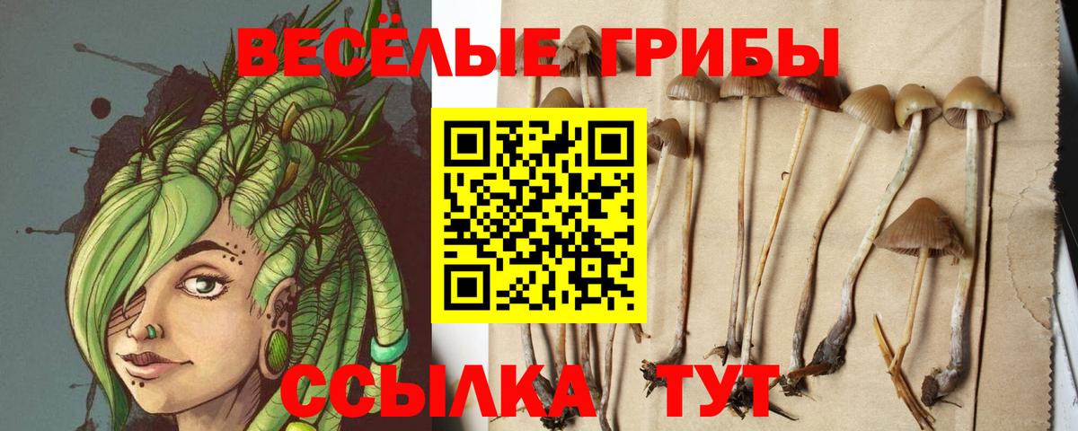Псилоцибиновые грибы мухоморы Шарыпово