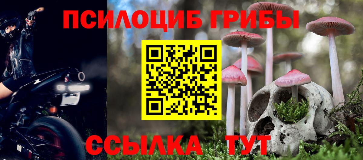 Шарыпово  Галлюциногенные грибы ЛСД  Галлюциногенные грибы ЛСД  Вход с VPN 