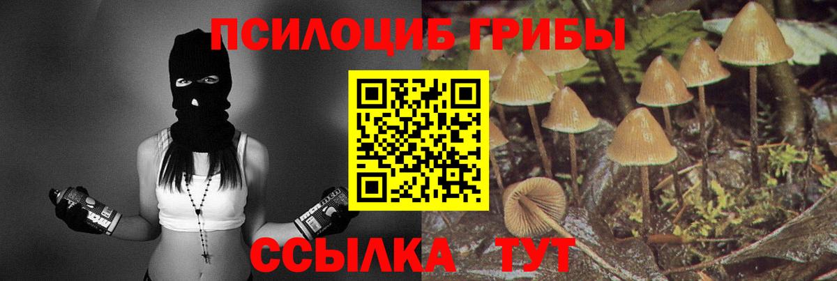 Псилоцибиновые грибы ЛСД  Псилоцибиновые грибы MAGIC MUSHROOMS  Шарыпово 